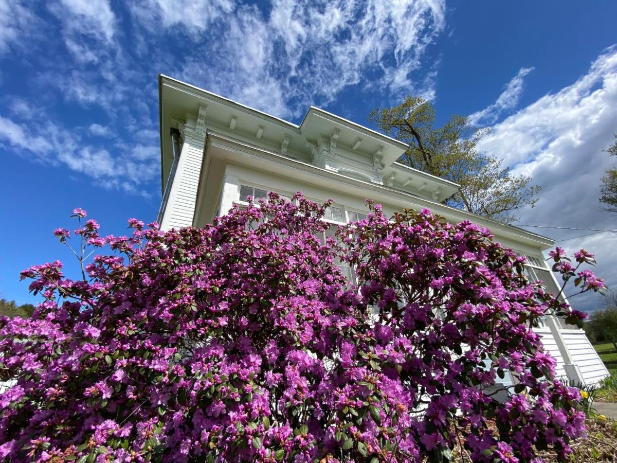 Bloom Farm Guesthouse Mount Vision Exteriör bild