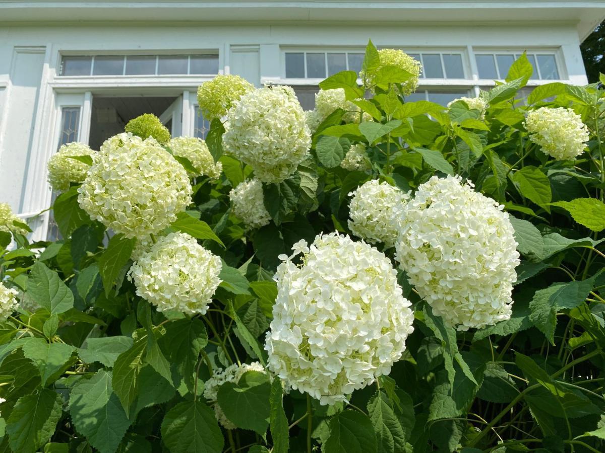 Bloom Farm Guesthouse Mount Vision Exteriör bild