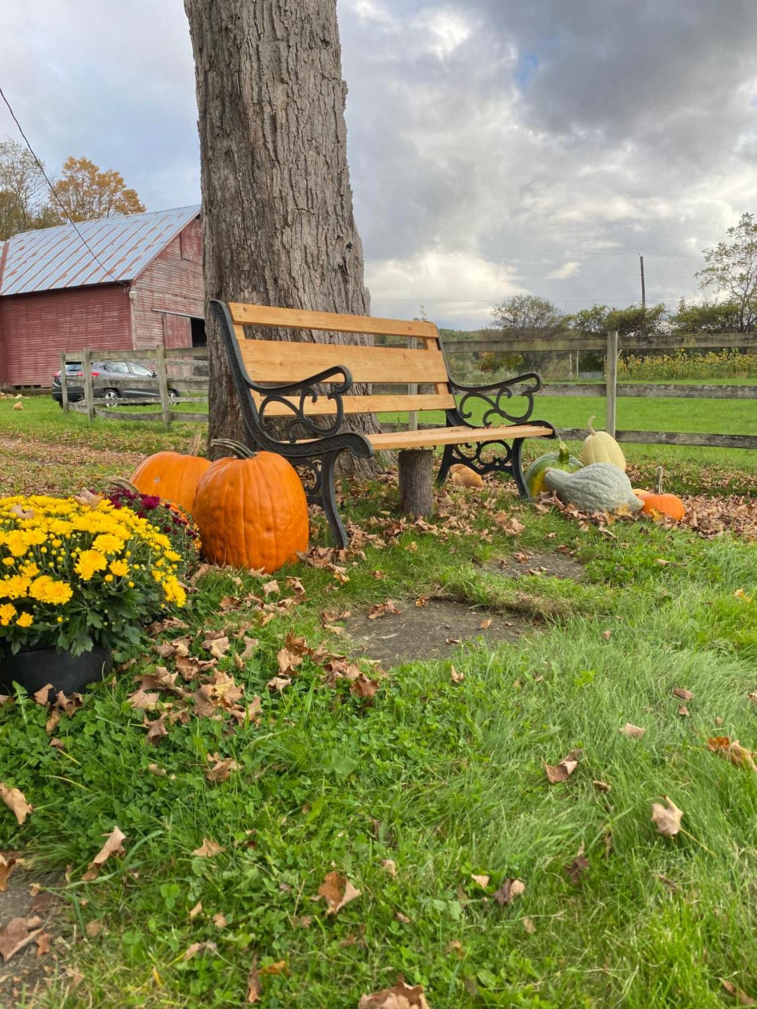 Bloom Farm Guesthouse Mount Vision Exteriör bild